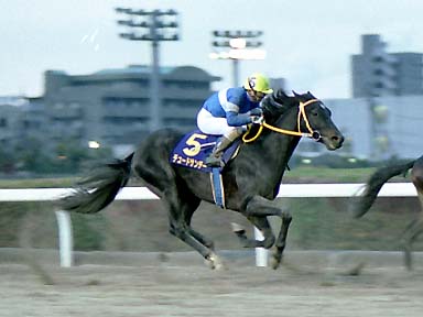 2001/12/25 川崎09R