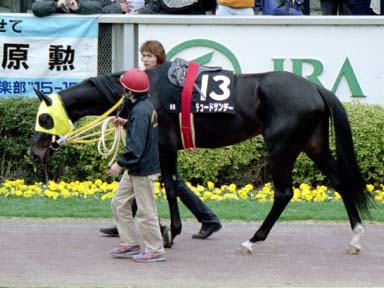 2002/02/17 東京09R