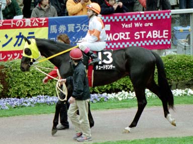 2002/02/17 東京09R
