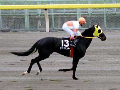 2002/02/17 東京09R