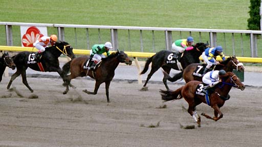 2002/02/17 東京09R