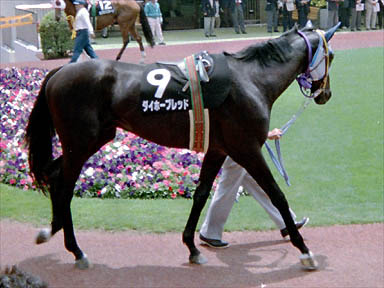 1994/05/29 東京05R