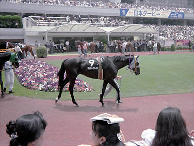 1994/05/29 東京05R