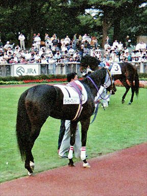 1994/10/15 東京12R