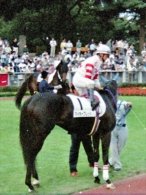 1994/10/15 東京12R