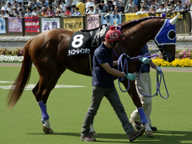 2004/05/01 東京09R