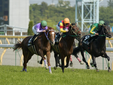 2004/05/01 東京09R