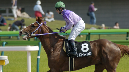 2004/05/01 東京09R