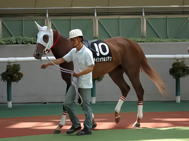 2008/07/13 福島09R