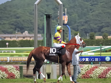 2008/07/13 福島09R