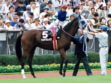 1999/10/09 東京10R