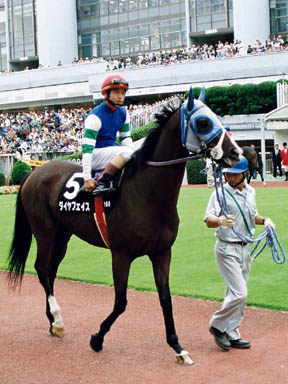 1999/10/09 東京10R