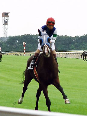 1999/10/09 東京10R
