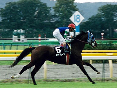 1999/10/09 東京10R