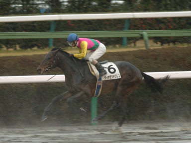 2005/01/16 R07R