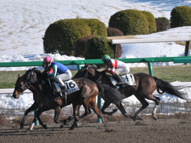 2013/01/19 R08R