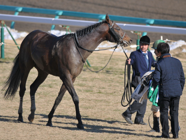 2013/01/19 R08R