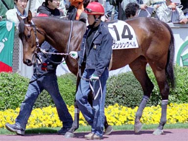 2001/04/22 東京06R