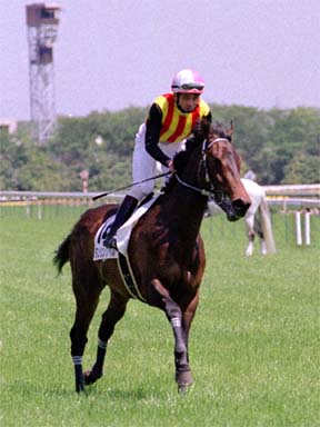 2001/04/22 東京06R