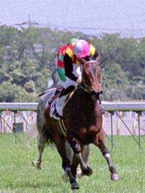 2001/04/22 東京06R
