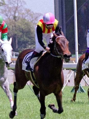 2001/04/22 東京06R