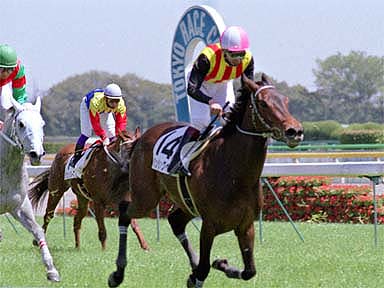 2001/04/22 東京06R