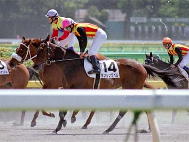 2001/04/22 東京06R