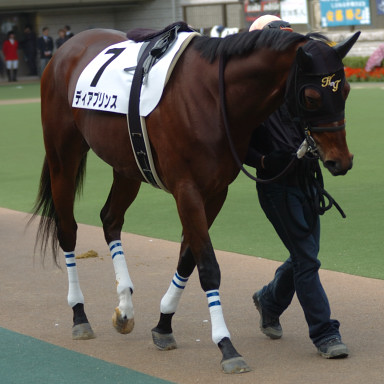 2005/11/26 06R