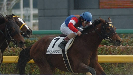2005/11/26 06R