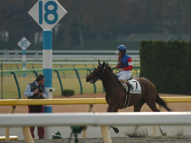 2005/11/26 06R