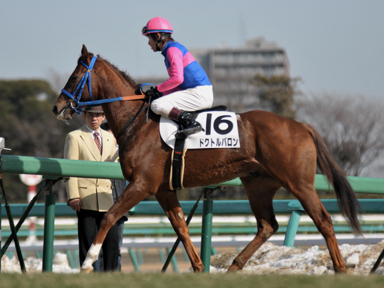 2013/01/21 中山06R