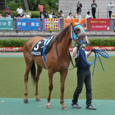 2013/07/01 東京09R