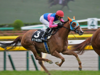 2013/07/01 東京09R