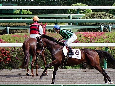 2002/04/07 中山07R