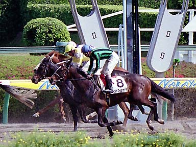 2002/04/07 中山07R