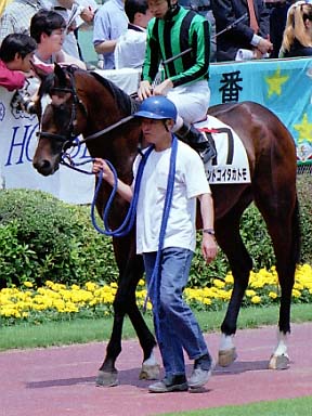 2002/06/02 東京06R