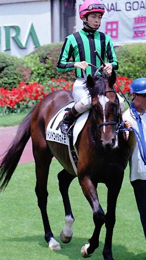 2002/06/02 東京06R