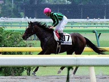2002/06/02 東京06R