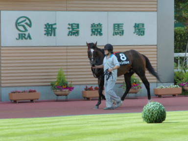 2005/07/24 新潟11R