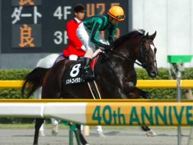 2005/07/24 新潟11R