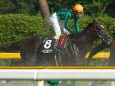 2005/07/24 新潟11R