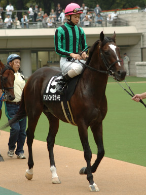 2005/10/15 東京11R