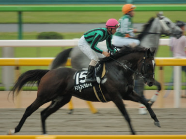 2005/10/15 東京11R