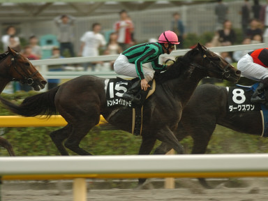 2005/10/15 東京11R