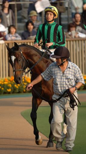 2005/11/05 東京11R