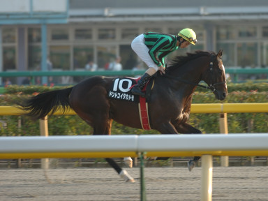 2005/11/05 東京11R