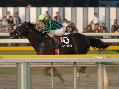 2005/11/05 東京11R