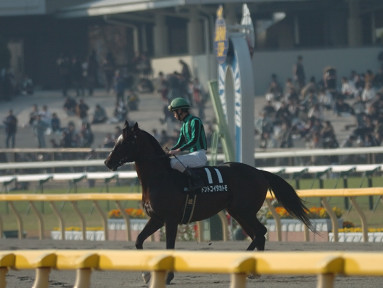 2005/11/27 東京08R