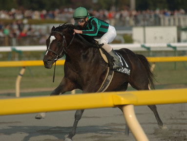 2005/11/27 東京08R