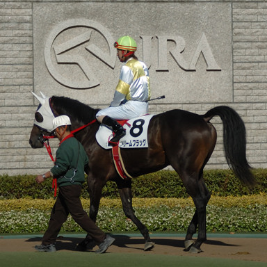 2008/11/23 07R